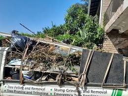 Best Shed Removal in Bonham, TX